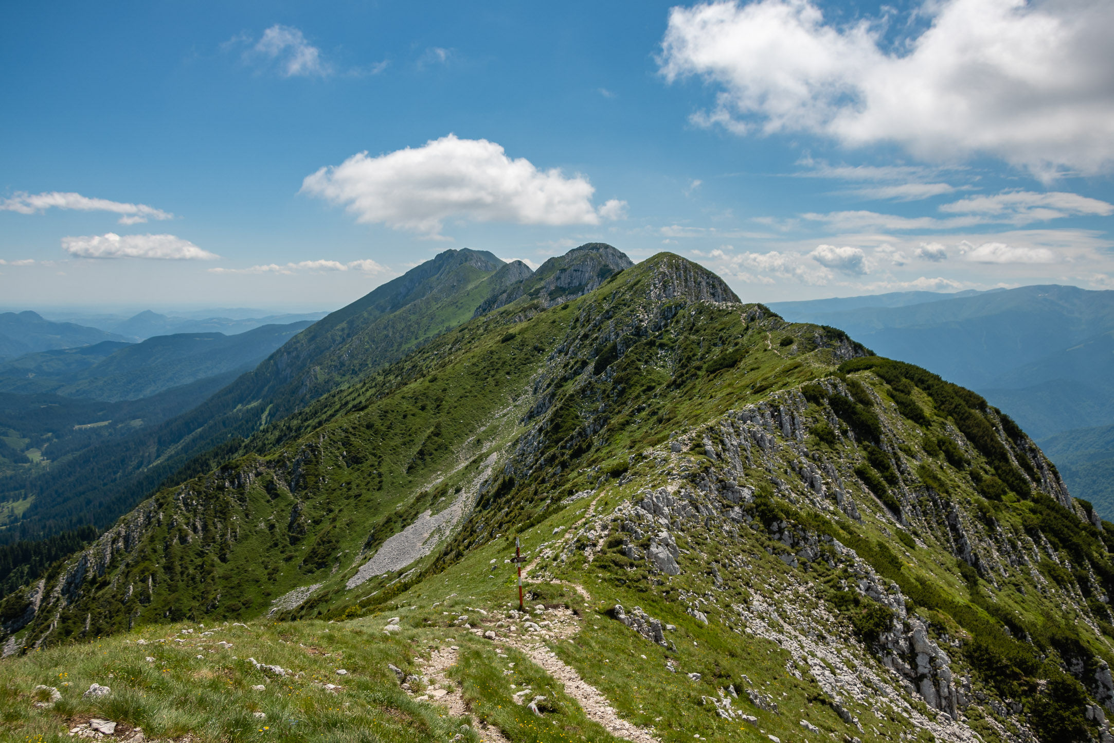 Sărbătoarea Floriilor pe Vf la Om - Piatra Craiului