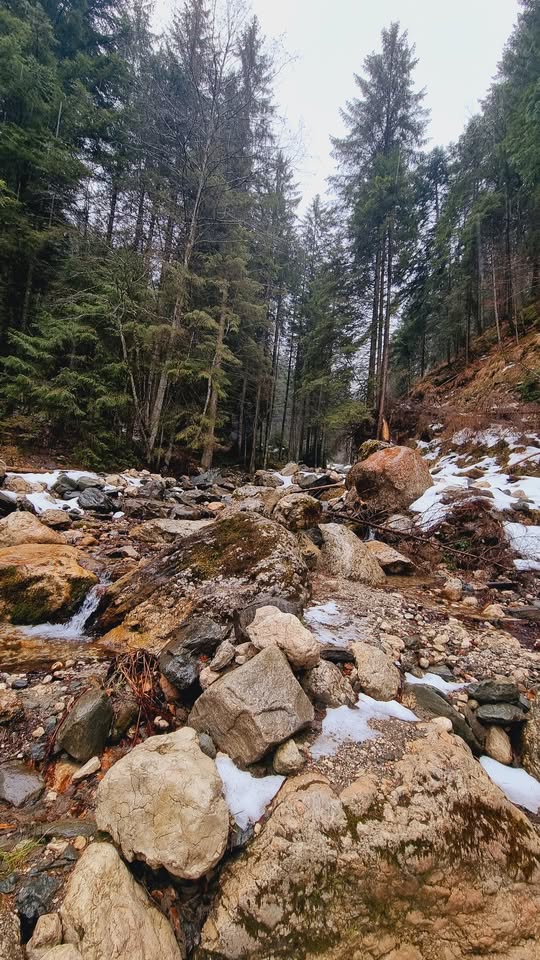 Răsfăț în natură- Drumeție ușoară la Cascada Moara Dracului