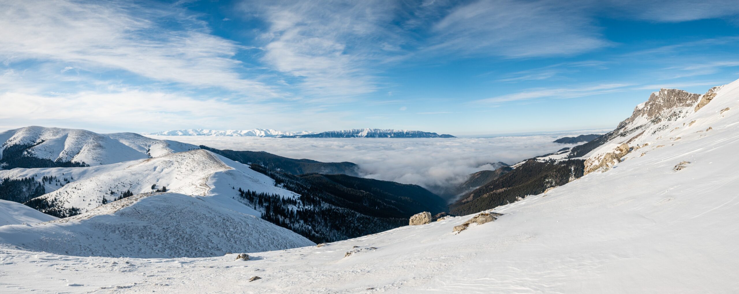 Pe Bucșa, cu ochii spre Piatra Craiului